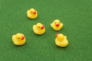 PAK25_ahirucyansoudan_TP_V